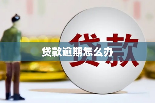 将乐贷款逾期怎么办