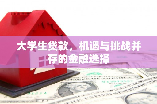 普洱大学生贷款，机遇与挑战并存的金融选择