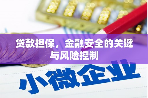 九龙城贷款担保，金融安全的关键与风险控制