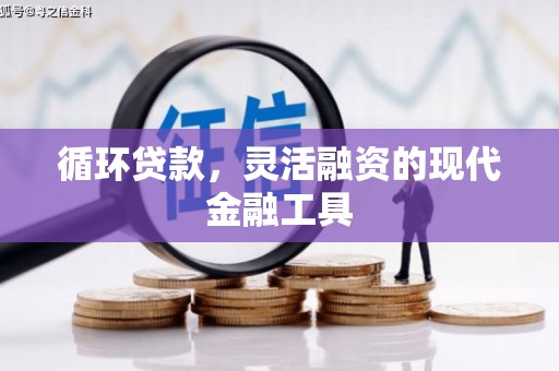 宁阳循环贷款，灵活融资的现代金融工具
