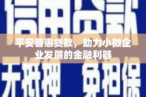 湟源平安普惠贷款，助力小微企业发展的金融利器