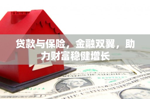 泸定贷款与保险，金融双翼，助力财富稳健增长