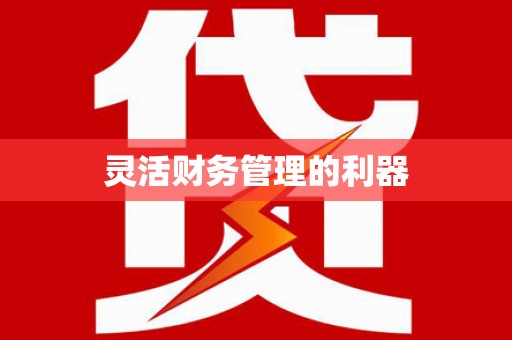 洋县灵活财务管理的利器