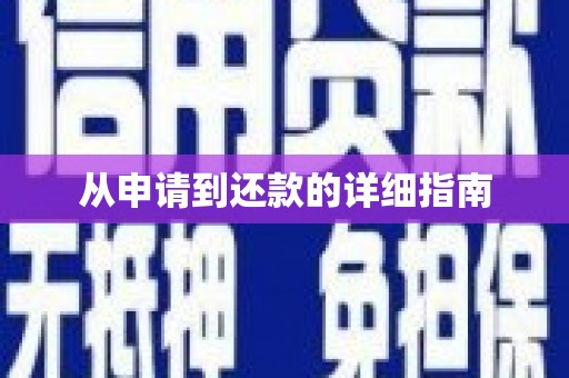 宁河从申请到还款的详细指南