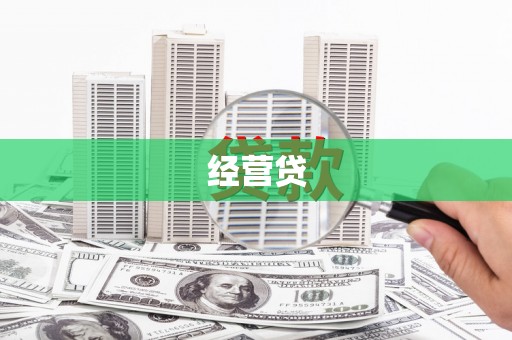 称多经营贷