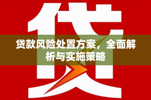 鄱阳贷款风险处置方案，全面解析与实施策略