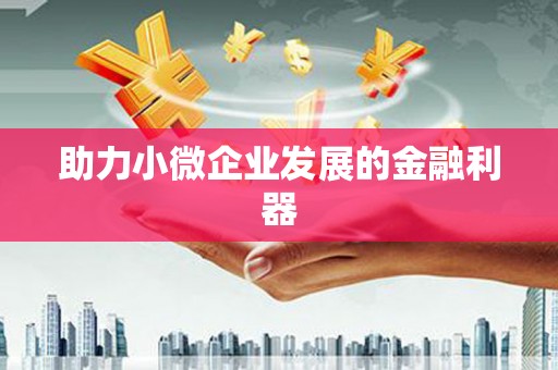 徐水助力小微企业发展的金融利器