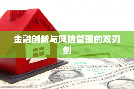 宾县金融创新与风险管理的双刃剑