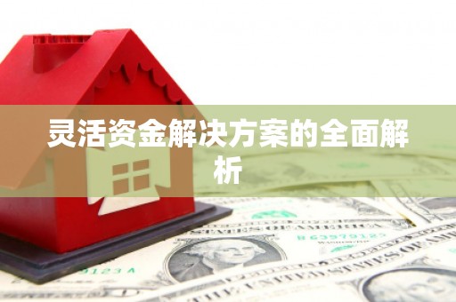 金乡灵活资金解决方案的全面解析