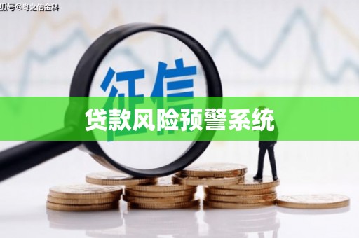 洪雅贷款风险预警系统