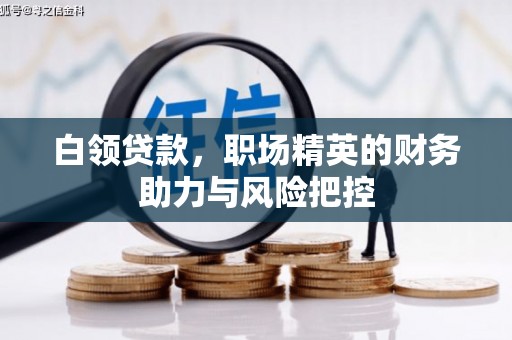 麦寮白领贷款,职场精英的财务助力与风险把控 麦寮白领贷款,职场精英的财务助力与风险把控